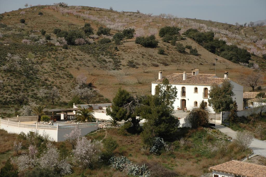 Hotel Los Sibileys Henares Eksteriør bilde