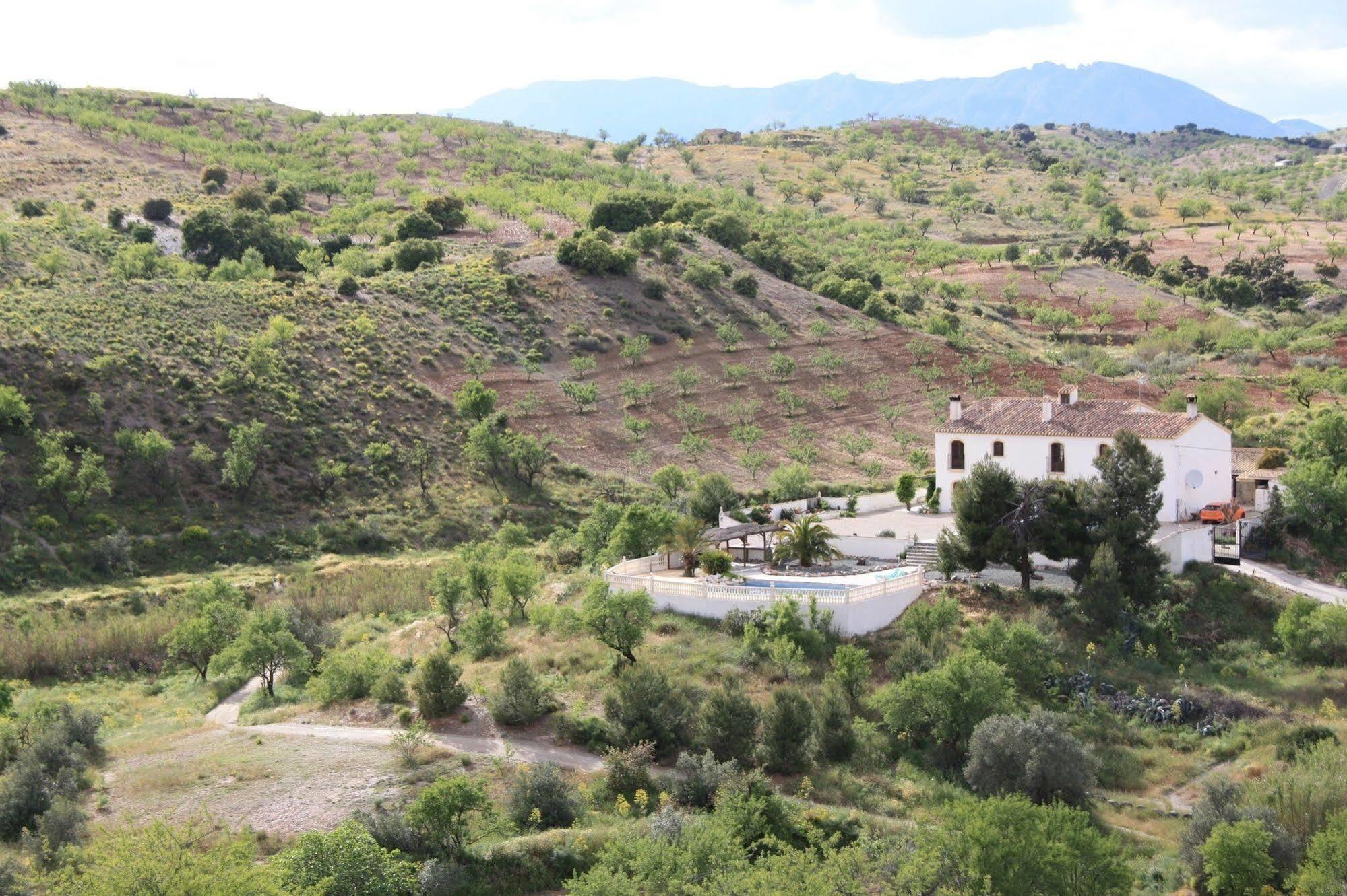 Hotel Los Sibileys Henares Eksteriør bilde